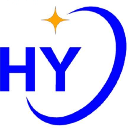 上海虹译电子科技股份有限公司
